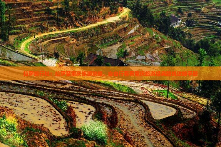 南宫NG28-拉萨旅行社：拉萨至重庆旅游攻略自由行看看重庆旅游经典路线攻略手册