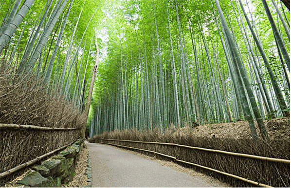 fd88029773733845e20f772b69499fa8.png fd88029773733845e20f772b69499fa8.png